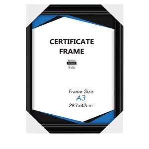 Document Frame A3 Black