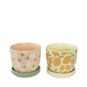 Charli Planter Pot 12x10cm - 2 Assorted Designs in PDQ Tray